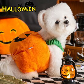 ハロウィン ハロウィーン ペット 犬 犬用 小型犬 中型犬 猫 猫用 コスプレ コスチューム ペットコスチューム 犬用コスチューム 猫用コスチューム 仮装 変装 変身 被り物 帽子 犬帽子 猫帽子 かぼちゃ かぼちゃコスチューム 着ぐるみ オレンジ 可愛い