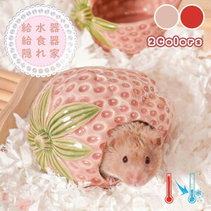 nX^[ nEX B  炵C`S^ 퐻 ƂĂgp\ |֗ Kł킢 􂦂  ėpɍœK ЂƂG ΍ɍœK C`S C