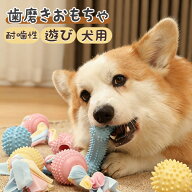 犬 おもちゃ 噛む 歯磨き 丈夫 ロープ 音が出る セット 中小型犬 デンタル ケア ストレス解消 運動不足 …