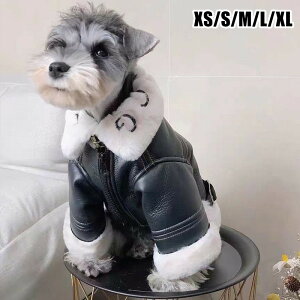   ^ p ̕ hbOEFA ViEU[ p[J[ g R[g H~ h H _EWPbg ybg h WPbg ybgEFA ^p t`uhbO g