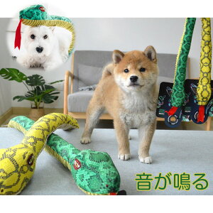  wr RXv  N   N 2025N nEB ւ VN  ʂ 蕨    N Ԃ  pW} 킢 p[eB[ Be