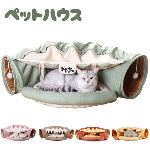 L gl LnEX xbh ybgxbh Lbggl Lxbh ybgnEX NbV Lgl LbgnEX Lpi ybgpi ~ ӂӂ  h[^ h[ic^ 