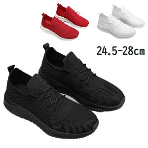 Xj[J[ Y ~p ₷ Ȃ y JWA  lC K ʋ ig nCLO g[jOV[Y jOV[Y ^C ^Xj[J[ V[Y C 