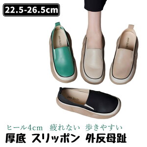  Xj[J[ Xj[J[ Xb| Xb| q[ vbgtH[ q[4cm [q[ fB[X C V[Y y y ₷ Ȃ RtH[gV[