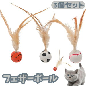 y3ZbgztFU[{[ L  {[ lV Ht{[ XgX ^s΍ Lp Lp g[jO ǐ  ^ oXPbg{[ TbJ[ 싅