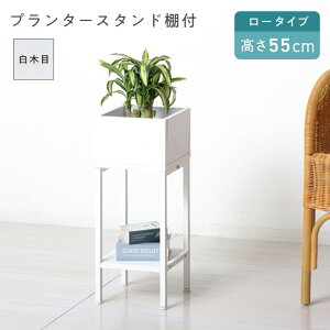 NVI v^[X^hIt [ KS23428 // Ƌ V g A  v^[ v^[X^h A ϗtA  ֎[ t[X^h