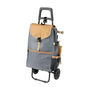 cocoro CXtM[J[g [iO[jiubNj VbsOJ[g J[g 锃J[g J[g  RpNgJ[g ֎qtL[J[g 