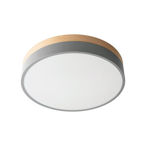 11/20 20:00` XP7{ × ubNtCf[ BRID ubh Olika LED CEILING LIGHT Ver.2 IJ LED V[OCg Ɩ V[OCg  ȏƖ V[