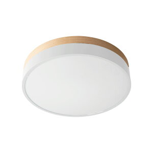 11/4 20:00` XP5{ × yV}\  BRID ubh Olika LED CEILING LIGHT Ver.2 IJ LED V[OCg Ɩ V[OCg  ȏƖ V[OC