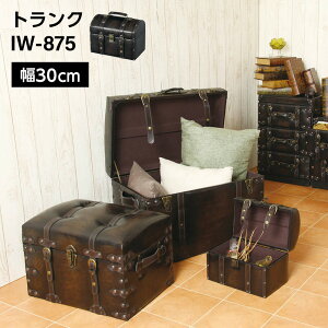 1/24 20:00�` ���X����P7�{ × �y�V�}���\�� ���g�����N IW-875 W30 // ���[ �P�[�X ���� �g�����N �Ƌ� �V���� ���z ���J