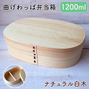 ᒛ Ȃϕٓ VR i`  唻^ i 1200ml // Ȃ i` ٓ ٓ ٓ ܂ϕٓ Ȃϕٓ Soh d؂t Vv  