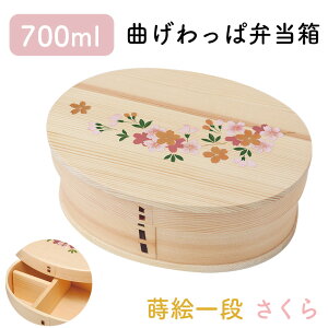 ᒛ Ȃϕٓ VR i`  ^ i  700ml // Ȃ ٓ ٓ ٓ ܂ϕٓ Ȃϕٓ d؂t N₩ȐF  sakura G