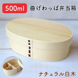 ᒛ Ȃϕٓ VR i`  ^ i  500ml // Ȃ i` ٓ ٓ ٓ ܂ϕٓ Ȃϕٓ Soh d؂t Vv 