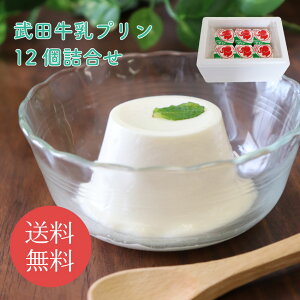 cv12l//   Mtg 蕨 yY r c j  Ε Ԃ v[g LO  oYj j l n nXC[c 