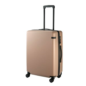 yace.zR[i[Xg[2-Z 65Liu[O[jix[WjizCgjiK^bNj// G[X ace. TOKYO LABEL R[i[Xg[2-Z 06866 X[cP[X Wbp[^Cv 83bg  4