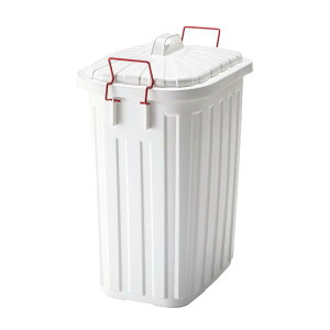 11/20 20:00` XP7{ × ubNtCf[ ^tJ 60L S~ iu[O[jiuEji`R[O[jizCgj// _Xg{bNX ݓ ʎW CeA 