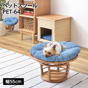 �y�b�g�X�c�[�� PET-64 //�X�c�[�� �y�b�g�X�c�[�� �֎q �`�F�A �y�b�g �C�k �l�R �� �L �N�b�V���� ���^�� ���[ ������� ���r���O �A�j�}�� �X�� �J�t�F ���E���W ���r�[ �z�e�� �@�l ���J