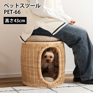 �y�b�g�X�c�[�� PET-66 //�y�b�g�X�c�[�� �y�b�g �X�c�[�� �V�R�� ���^�� �� ���^�� �L ���[ �i�`������ �N�b�V���� ����43cm �X�� �J�t�F ���E���W ���r�[ �z�e�� �@�l ���J