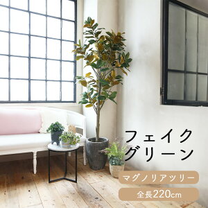 tFCNO[ }OmAc[ S 2.2m glp1541 // |s[  CeA A { sv AO[   XgXy A@lHϗtA 220cm