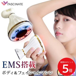FASCINATE |[^u}`g B[iXVF // g  |[^u g }V }V[  tFCXC {fB {fBPA e   tFCX tgAbv  