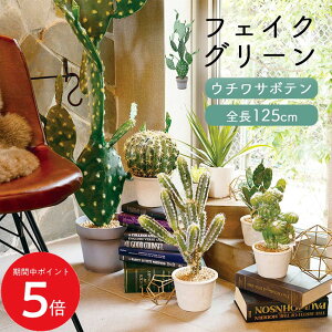 11/4 20:00` XP5{ × yV}\  E`T{e S1.25m glp1488 // |s[  CeA A { sv AO[   XgXy A@lHϗt