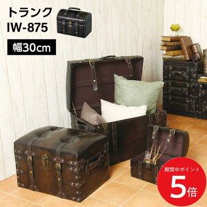 3/20 20:00�` ���X����P5�{ × �}���\�� ���g�����N IW-875 W30 // ���[ �P�[�X ���� �g�����N �Ƌ� �V���� ���z ���J