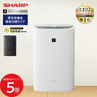 5/9 20:00〜 当店限定P5倍 × マラソン ◆【購入者全員に「カーボンマットミニ10枚」プレゼント】KI-TS50…
