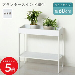 11/14 10:00` XP5{ × yVC[OXӍ  NVI v^[X^hIt Ch KS23426 // Ƌ V g A  v^[X^h v^[  ֎[ Ch t