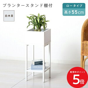 11/14 10:00` XP5{ × yVC[OXӍ  NVI v^[X^hIt [ KS23428 // Ƌ V g A  v^[ v^[X^h A ϗtA  ֎