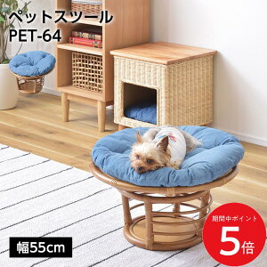 12/19 20:00�` ���X����P5�{ × �労�Ӎ� �� �y�b�g�X�c�[�� PET-64 //�X�c�[�� �y�b�g�X�c�[�� �֎q �`�F�A �y�b�g �C�k �l�R �� �L �N�b�V���� ���^�� ���[ ������� ���r���O �A�j�}�� �X�� �J�t�F