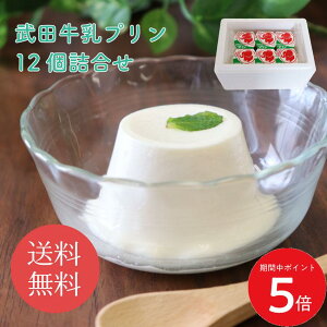 11/4 20:00` XP5{ × yV}\  cv12l//   Mtg 蕨 yY r c j  Ε Ԃ v[g LO  