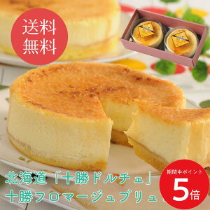 11/14 10:00` XP5{ × yVC[OXӍ  ykC \h`Fz\t}[Wu //   Mtg 蕨 yY r c j  Ε 