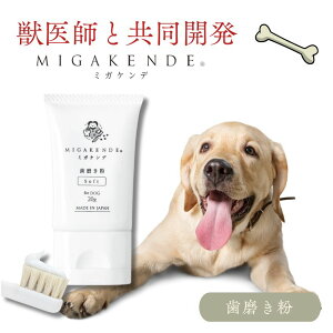 10/4 20:00` XP5{ × yV}\ MIGAKENDE ~KPf  for DOG 20g // Y bt J y[Xg  f^ oCIAp^Cgz F C L L a \h 