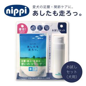 yZbgzp B iRj 40g{pet // jbs R ^pN R[Q A~m_ { Y  ֐  畆  ѕ N Nێ a@ 