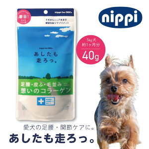 p Bi40gj// jbs R ^pN R[Q A~m_ { Y  ֐  畆  ѕ N Nێ a@ J pN⏕Hi Uybg