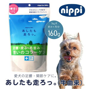 p BiRj 160g// jbs R ^pN R[Q A~m_ { Y  ֐  畆  ѕ N Nێ a@ J pN⏕Hi Uy