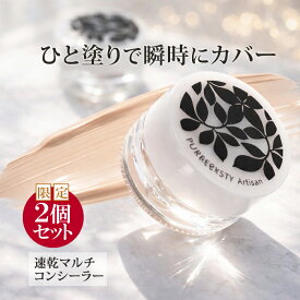 NEW！新色登場！コンシーラーおすすめ コンシーラー使い方 コンシーラー ランキング コンシーラーとは コンシーラーおすすめ くま コンシーラーおすすめ シミ コンシーラーおすすめ ニキビ コンシーラーおすすめ 50代 アーティザン2個セット 送料無料