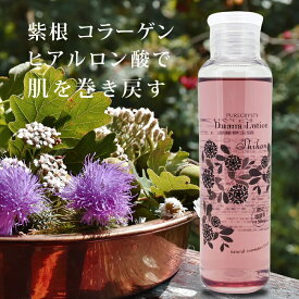 限定増量版150ml 化粧水 しわ たるみ ピュアクリスティ 話題の紫根(シコン)配合で驚きの価格！年齢肌に究極エイジングケア♪しわ/たるみ/ハリ/乾燥/エイジング【プチプラシリーズ　エイジングケア化粧水】ピュアクリスティシコンローション