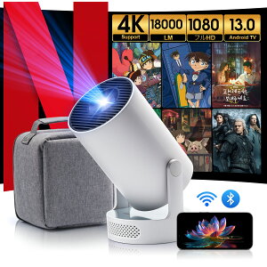 yp2{N[|500~OFFzvWFN^[ 2Nۏ V e ^ y ƒp z[vWFN^[ Android TV 11.0 Px 4KΉ 6GWiFi Bluetooth5.4  youtube/Netflix  `␳ Z X