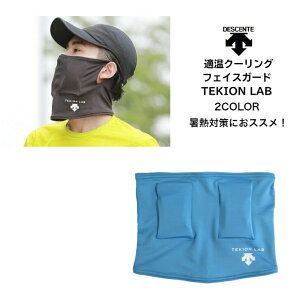 y[ւƑzM΍ fTg DESCENTE KN[OtFCXK[h TEKION LAB DX-C0739 | jO X|[c  ΍ M \h K~ ʋ dxc0739 N[O t