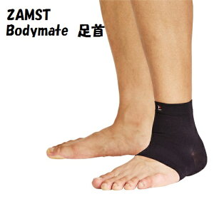 y[ւƑzT|[^[ ZAMST UXg Bodymate {fB[Cg  1 | ̌yEی CgX|[c 퐶 