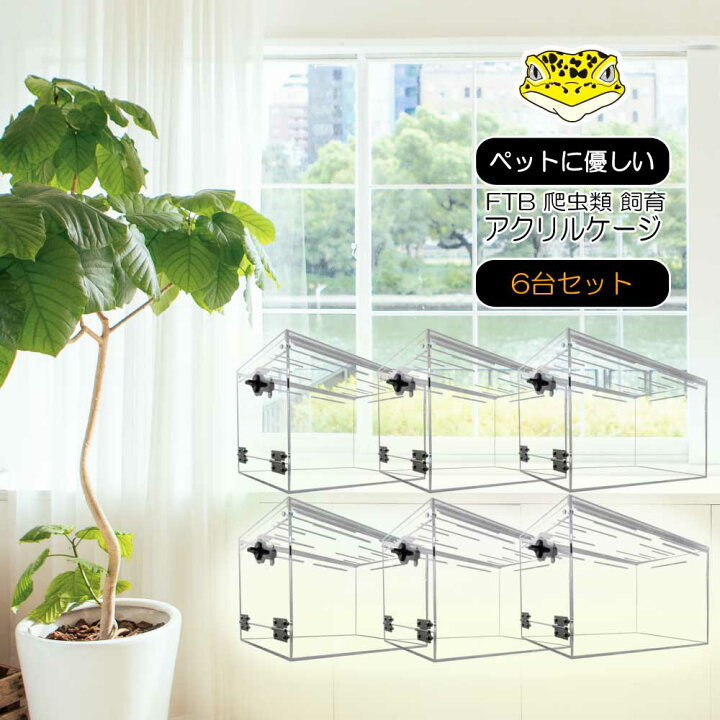 新古 小鳥用アクリルゲージ&爬虫類アクリルケース