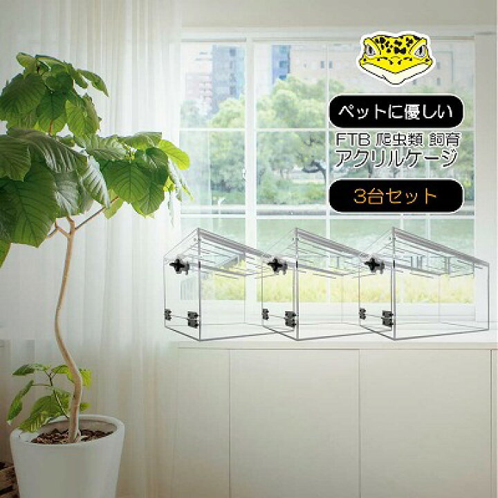 爬虫類 ケージその他セット