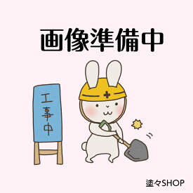 水性セラミシリコン 3分艶 SR標準色 ホワイト 16Kg エスケー化研 SK化研