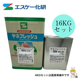 ltbVSi 16kgZbg 4kgZbg RCF GXP[ SK