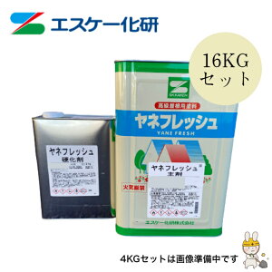 ltbV 16kgZbg 4kgZbg RCWF GXP[ SK