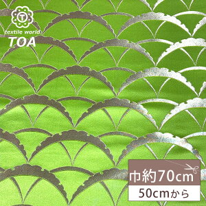 ���n �y ���E �L�~�h���� �z ���E���n �a�����n �����D�� ��70cm�� �؂₩ �d���� ���� �� ���� �В� ���܌� �ގ� �ߑ� �l�`�ߑ� �|�[�` �N���b�`�o�b�O ���󒠃P�[�X ���󒠓��� �ގѓ��� 