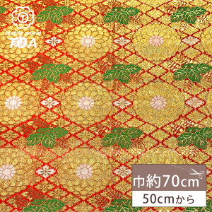 ���n �y ���E ���� �z ���E���n �a�����n ��70cm�� �ш��` �ÓT���l �a�� ���� �� ���� �В� ���܌� �ގ� �ߑ� �l�`�ߑ� �|�[�` �N���b�`�o�b�O ���󒠃P�[�X ���󒠓��� �ގѓ��� �C���e��