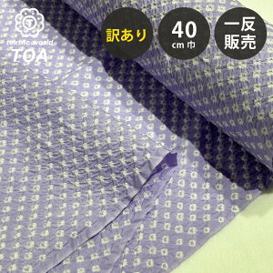 y󂠂z y Li OYi F 12.5m 40cm z n ꔽ  L Ci LCi ߐn rn  䂩 ڂ藁 i藁 i  Ē 