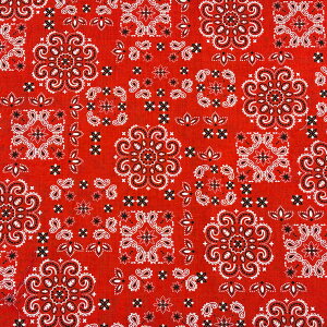 n y yCY[o_ivg 4F z yCY[ IG^ yCY[ o_i Ȑn  Rbg 100 NVbNt[ AeB[N nJ` Jo[O 